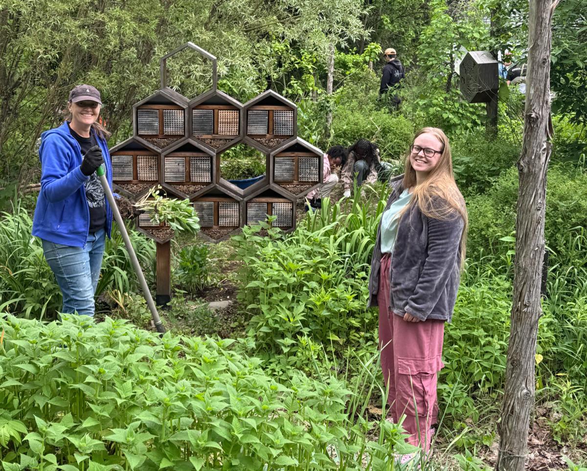 Hábitat de abejas del valle del Hudson