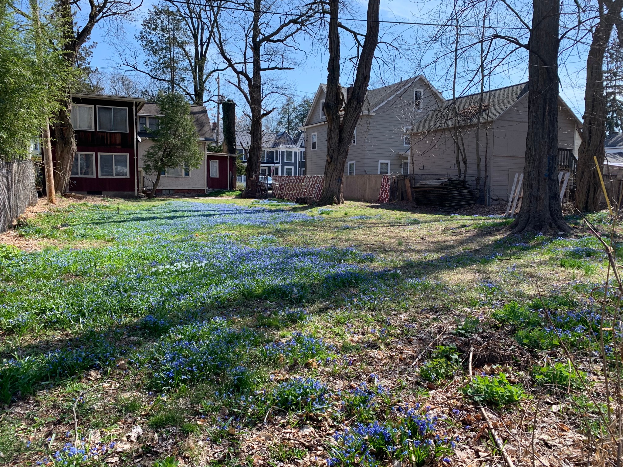 burial ground in bloom