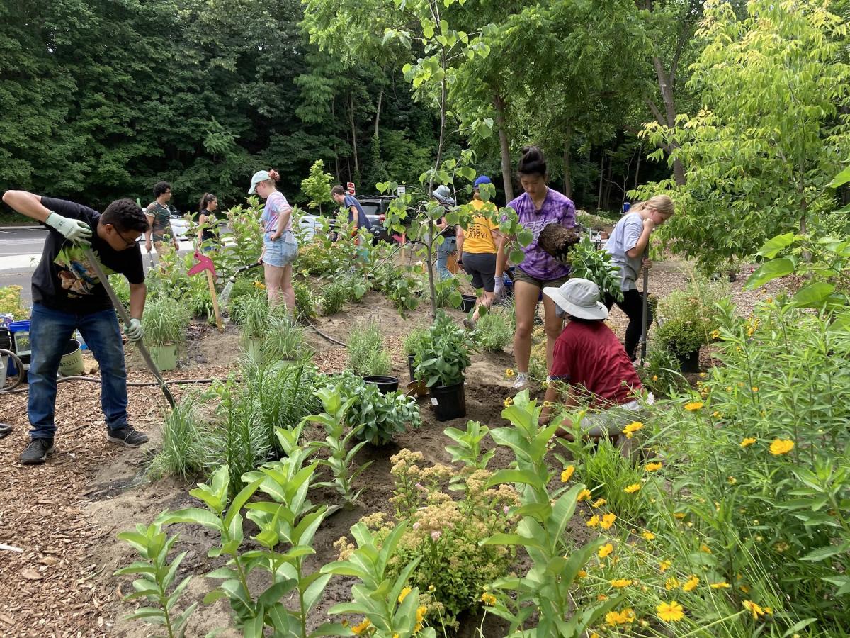 Students planting at the pollinator garden