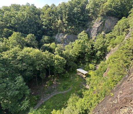 red fox ravine