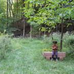 Red Fox Ravine 