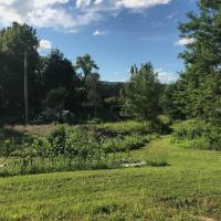 view from top of hill looking down at a grassy area and terraced garden beds surrounded by trees