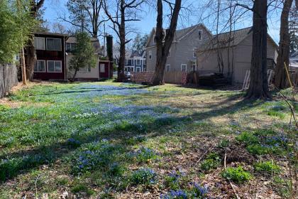 Burial Ground in Bloom