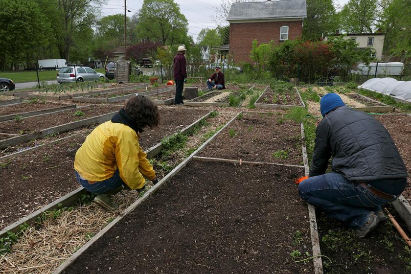 KLT Launches Land Matching Portal Kingston Land Trust